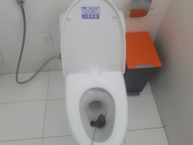 Thông Bồn Cầu