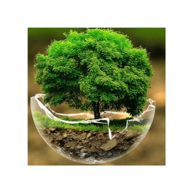 Cách Hút Bể Phốt