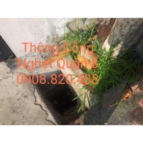 Thông Cống Nghẹt Quận 8 TpHCM